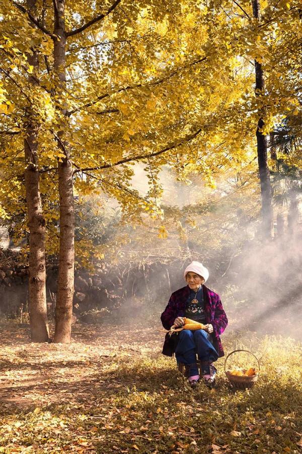 盤點南方各省區經典的賞秋地 盤點南方各省區經典的賞秋地