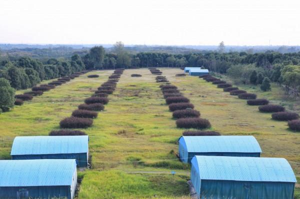 比兵馬俑早200多年的車馬陣，被譽為“中國僅有，天下第一”