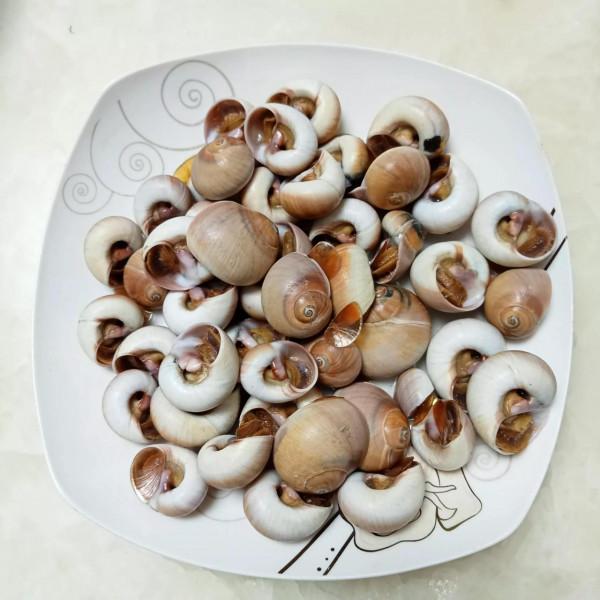 跳繩第五十五天:兩個食譜你會選擇哪一個呢? 跳繩第五十五天:兩個食譜你會選擇哪一個呢?