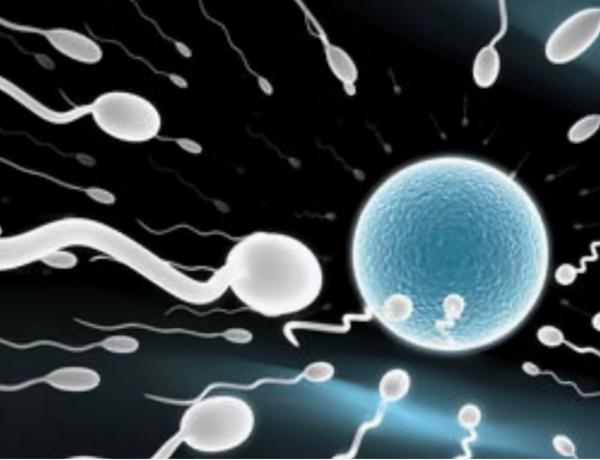 服用西地那非之前，有哪些注意事項？