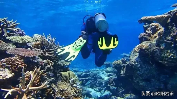 全球唯一隻接待中國公民的海島！比馬代純淨，僅有5萬國人去過