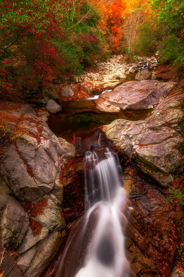 為什麼全國都愛四川的秋天! 為什麼全國都愛四川的秋天!