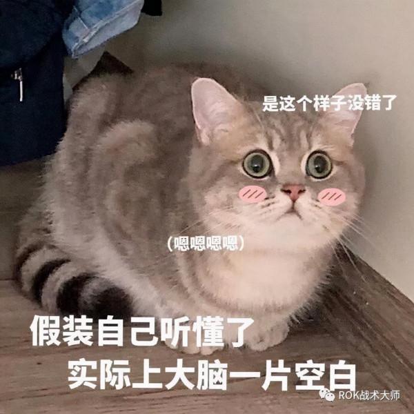 萬國覺醒丨卡魯拉克儀式隱藏攻略