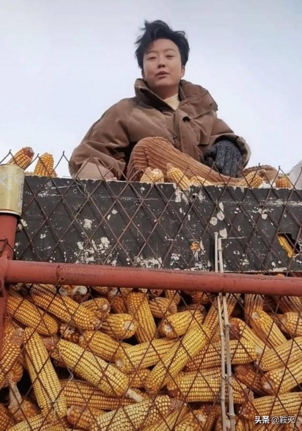 明星迴家過年，最接地氣和最有煙火氣的是誰