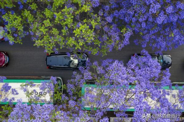 北方人養老,就去雲南這3座小城!價效比高氣候好,醫療也不錯 北方人養老,就去雲南這3座小城!價效比高氣候好,醫療也不錯