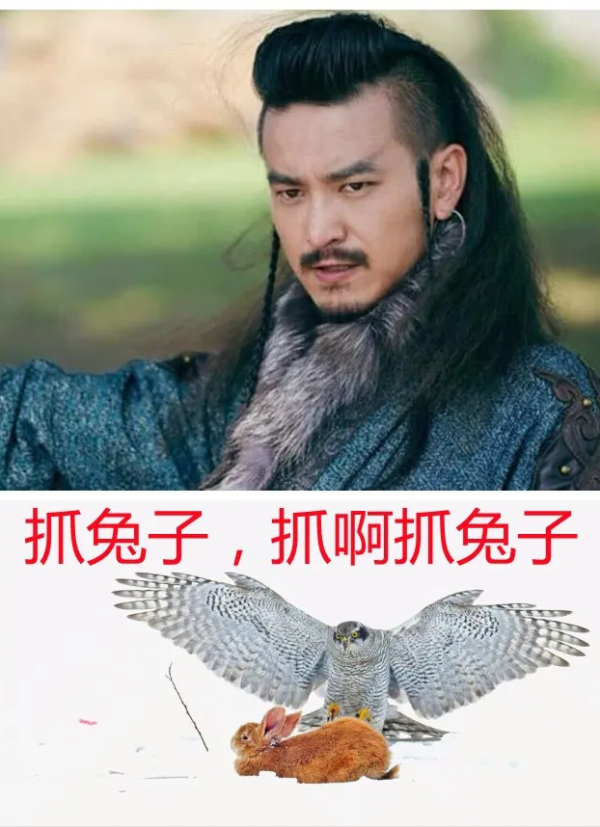 起起落落，還是皇帝（二）