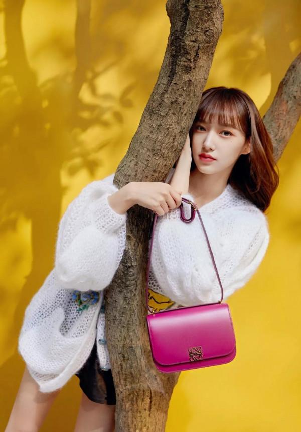 羅意威LOEWEgoya 手袋欣賞