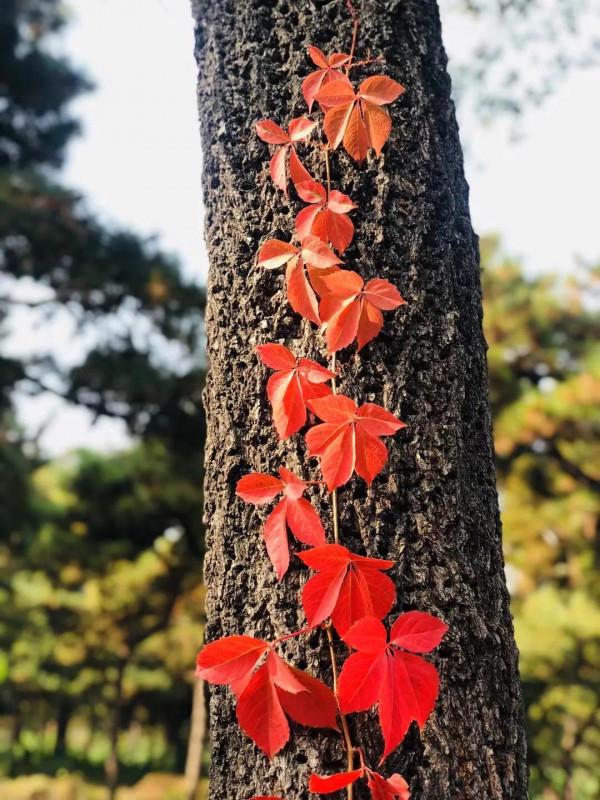 媽媽到底做了什麼讓孩子膽小 媽媽到底做了什麼讓孩子膽小