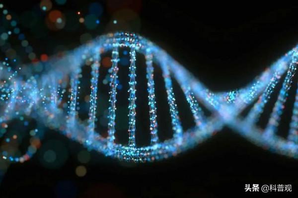 東航遇難者DNA對比完成，132人身份確認！僅憑遺骸如何確認身份？