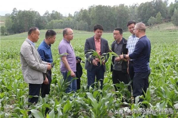 為什麼國家要大力提倡一二三產業融合發展? 為什麼國家要大力提倡一二三產業融合發展?