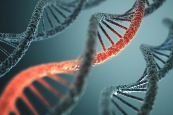 研究發現RNA分子可以控制癌細胞中受損人類DNA的修復