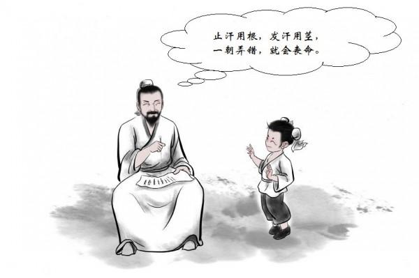 中醫裡的有趣小故事——麻黃，根和莖要分清楚