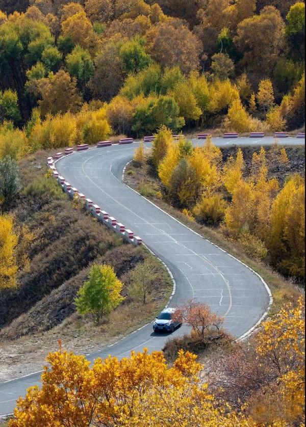 層林盡染的黃崗梁,許你一個秋天的童話 層林盡染的黃崗梁,許你一個秋天的童話