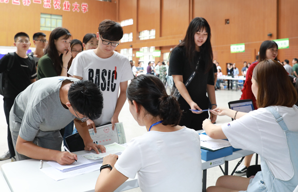 考研報名難度升級，填報過程中“陷阱”太多，小心栽倒在第一關