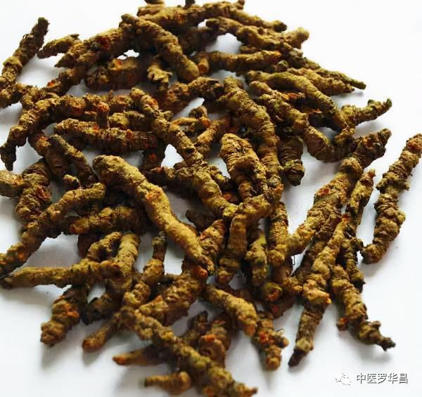 半夏黃連之配對，乃調胃腸，理氣機，和陰陽之常用藥對！附醫案