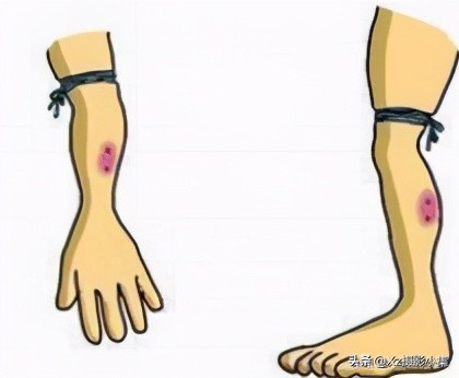 曾經的大連“蛇島”，可能已經不再沒人敢去，而是成了旅遊景區？