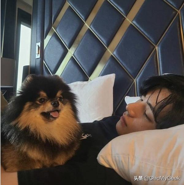 韓國男神們寵物大盤點!萌寵+美男不要太養眼 韓國男神們寵物大盤點!萌寵+美男不要太養眼