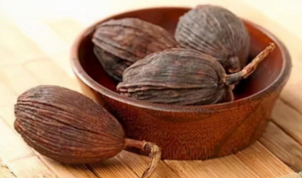 千古名方獨活寄生湯，一個頸肩腰腿痛離不開的好方，用者能得其妙