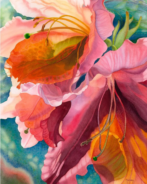 55歲拿起畫筆,成為最懂花的女人!筆下絢爛唯美的水彩花卉太美了 55歲拿起畫筆,成為最懂花的女人!筆下絢爛唯美的水彩花卉太美了