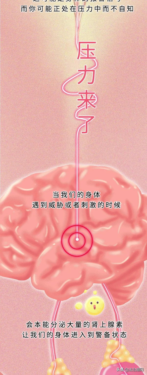 長期處於壓力下，身體會發生什麼？