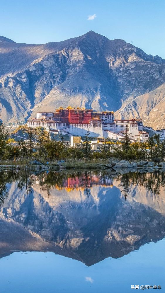 本田正式釋出ADV350，為什麼跨界踏板車如今這麼火？