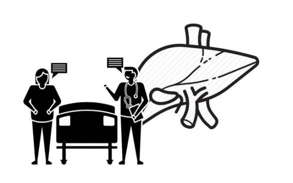 身體4大器官，喜好各不相同！想保養它們，先了解這些知識