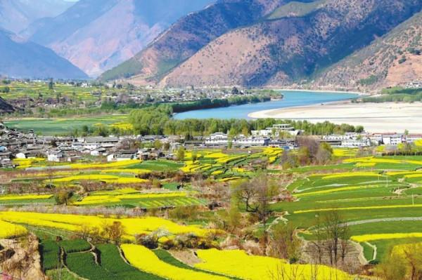 神奇樂土物種天堂 神奇樂土物種天堂