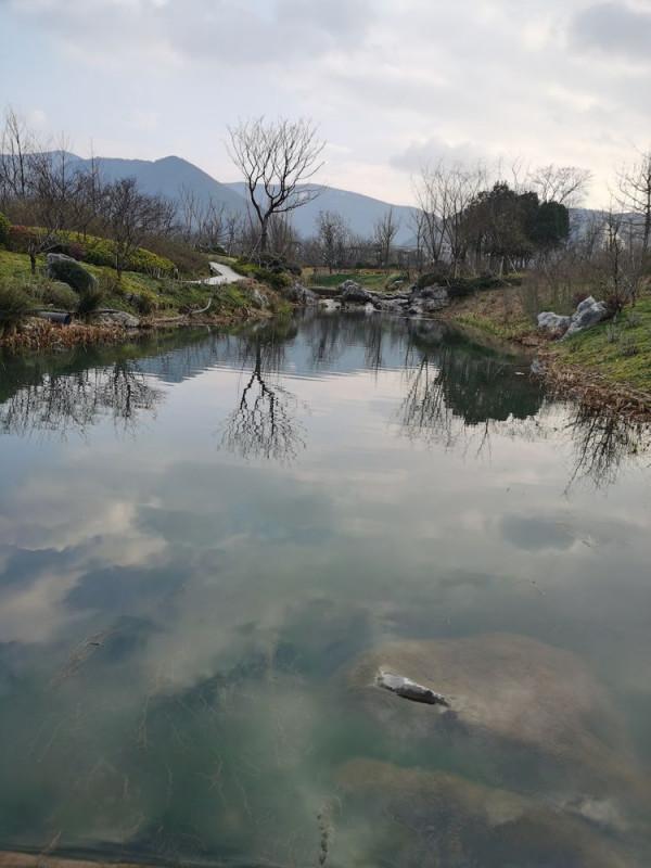 踏青早行人 作者：張鎖龍