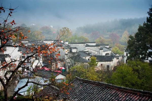 旅遊也要捲起來！！偷偷收藏秋季最美的8個地方....