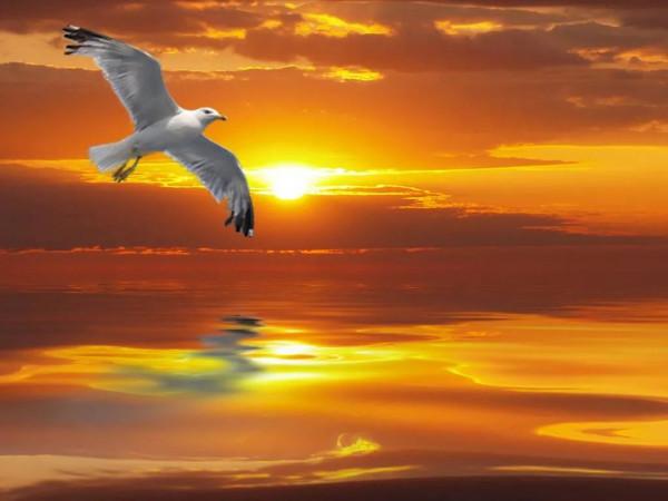 海洋的景色，真美