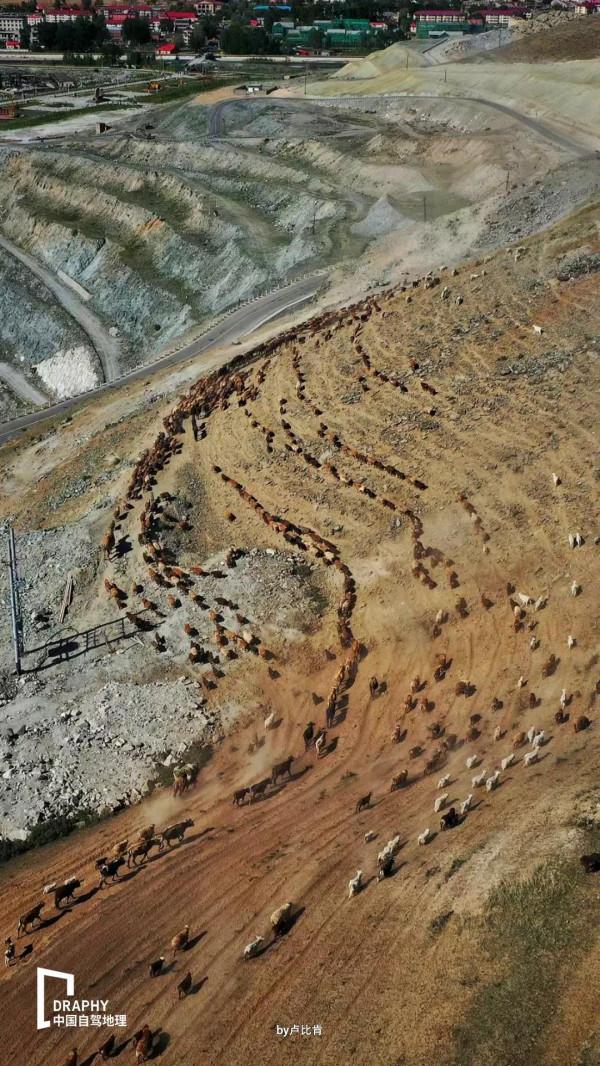 中國最美秋色來襲！一年僅三週，奉上這份自駕攻略，今年別再錯過