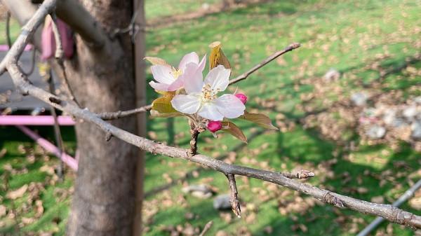自從來到這，我把市裡的房子給賣了