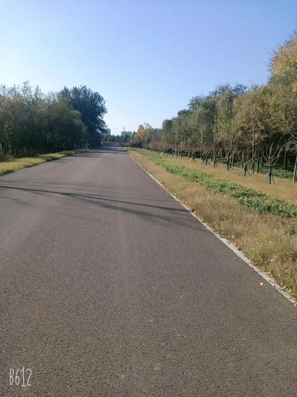 來,一起跑步放空自己 來,一起跑步放空自己