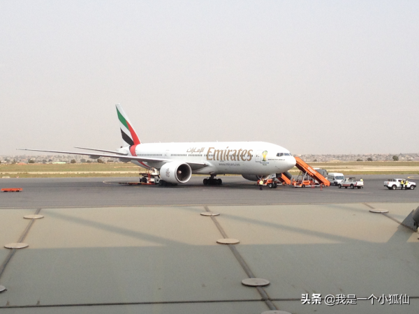 那年，公司將我從非洲安哥拉調到了朝鮮（1要我馬上回北京報到）