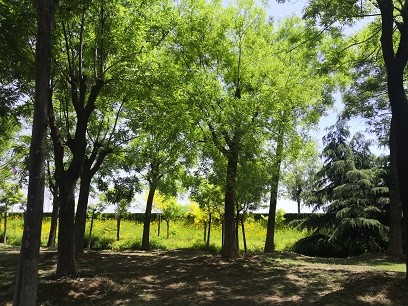 晨霽一週星座運勢9.20-9.26上 晨霽一週星座運勢9.20-9.26上