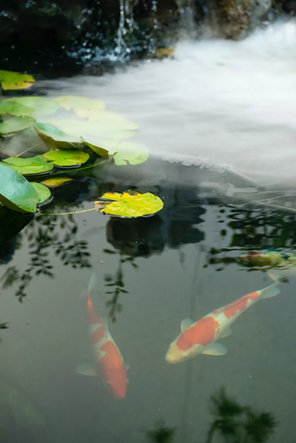閒適,是生命的空地 閒適,是生命的空地
