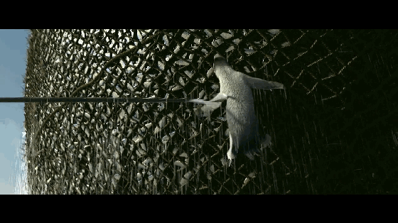 “王菲，看你咋養的女兒！”，24歲的竇靖童，是育兒的另一種可能