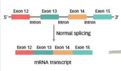 MET靶向藥已經在中國獲批，如何辨別檢測報告中的MET 14號外顯子跳躍突變？