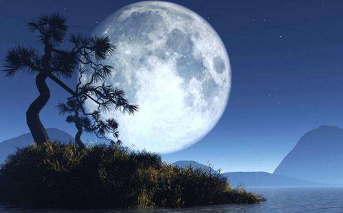 中秋情思《秋夜思》