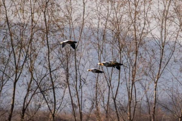 如果有時間,你會來看一看我吧…… 如果有時間,你會來看一看我吧……
