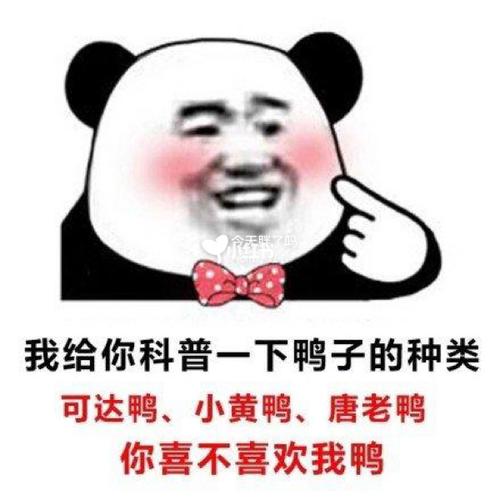 每日冷知識：麵粉也會爆炸