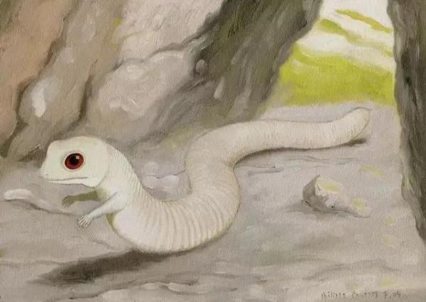 神秘生物_阿爾卑斯塔佐蠕蟲怪