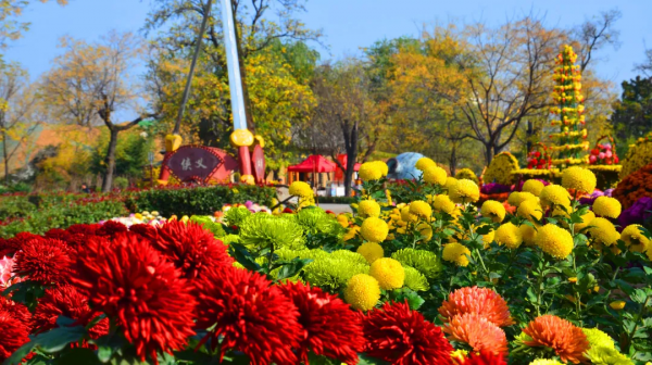 開封景區動態丨萬歲山·大宋武俠城面向全國免費開放一個月 開封景區動態丨萬歲山·大宋武俠城面向全國免費開放一個月
