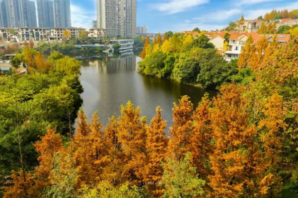 冬日，重慶美景圖鑑