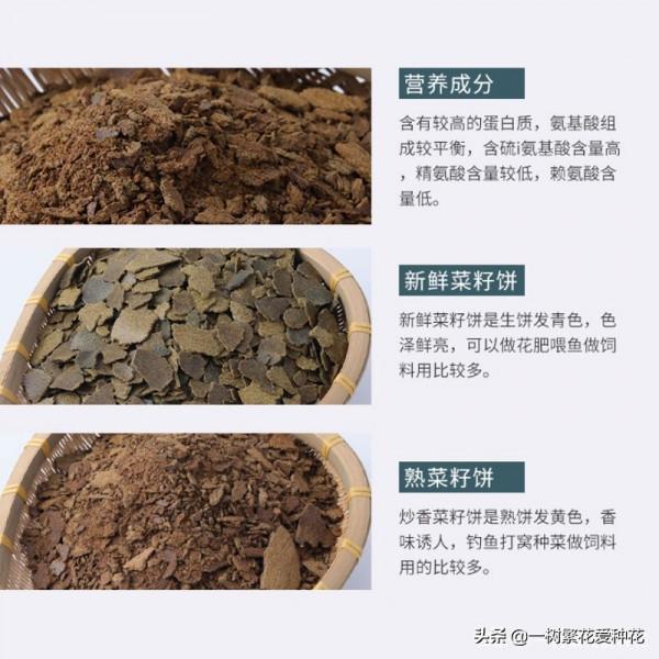 有沒被自制花肥臭懵過,這8種自制肥別亂做,踩過的坑、流過的淚 有沒被自制花肥臭懵過,這8種自制肥別亂做,踩過的坑、流過的淚