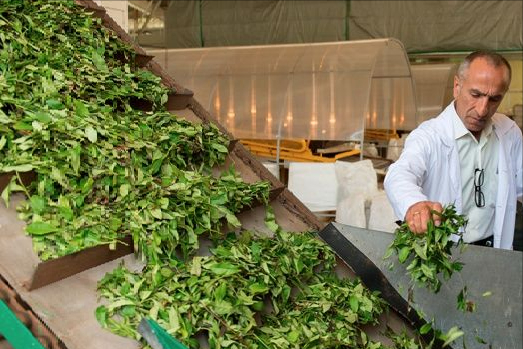 50張圖片，帶你見識俄羅斯，不為人知的另外一面