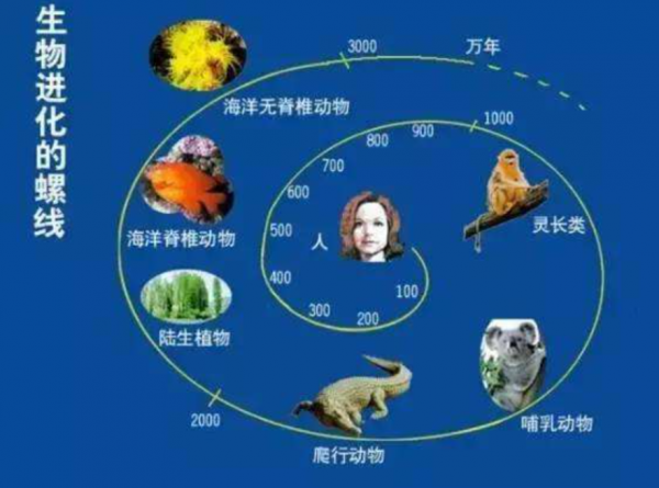 生物進化普遍選擇的是衰老，而不是永生，這究竟是為什麼？