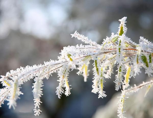 12月 | 善待時光，願你與溫暖不期而遇