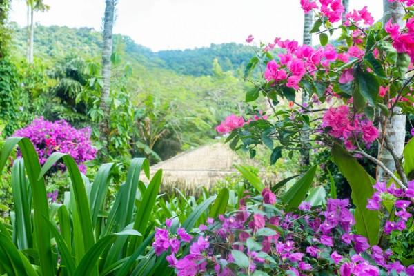 海南最美的8大海灣,太美了 海南最美的8大海灣,太美了