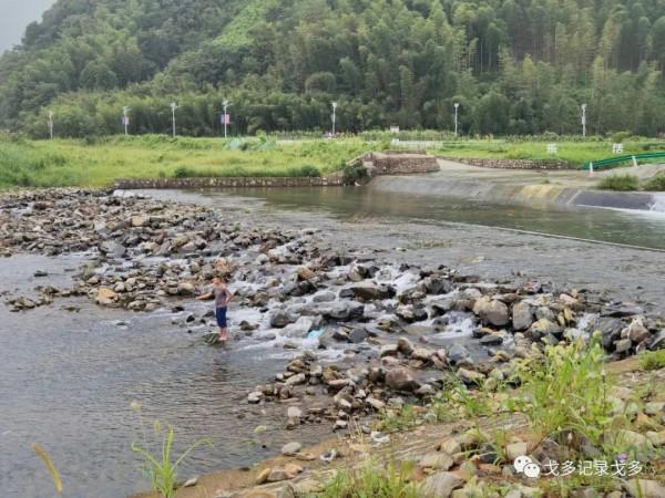 快樂遊釣遇見野猴,一路上意外多多,驚喜不斷 快樂遊釣遇見野猴,一路上意外多多,驚喜不斷